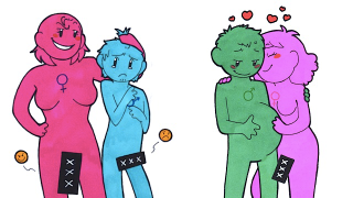 The weirdest mating habits of the animal kingdom, explained using humans